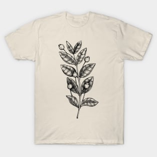 Plant Stem With Seed Pods T-Shirt